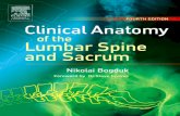 Clinical Anatomy of the Lumbar Spine &Amp_ Sacrum