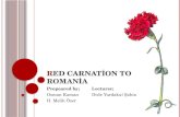 Global Marketing Plan for Red carnation to romania
