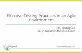 Effective Testing Practices in an Agile Environment