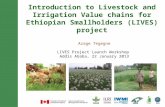 Introduction to Livestock and Irrigation Value chains for Ethiopian Smallholders (LIVES) project