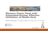 Escape 24 biomass power plant with integrated drying-effective utilization of waste heat