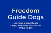 Freedom Guide Dogs for Kids
