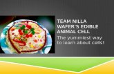 Edible cell power point Team Nilla Wafer