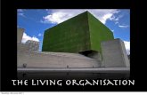The Living Organisation