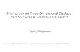 Brief survey on Three-Dimensional Displays