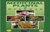 Medicinal plants of myanmar