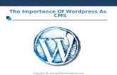 The importance of wordpress as cms