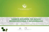 Presentacion BEA XI reunion iberica microalgas nocivas y biotoxinas