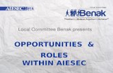 Opportunities  &  Roles  within AIESEC