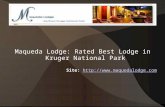 Maqueda Lodge: Rated Best Lodge In Kruger National Park