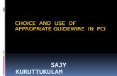 Choice And Use Of Appropriate Guidewire In PCI