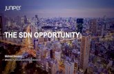 The SDN Opportunity