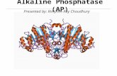 Alkaline phosphatase Structure and biophysics