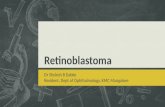 Retinoblastoma : Dr Shylesh B Dabke