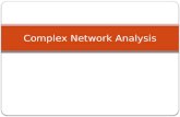 Complex Network Analysis