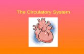 The  Circulatory  System [ E Doc Find.Com]