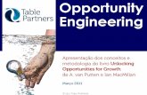 Opportunity Engineering - Desenhando projetos de inovação e crescimento