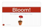 Bloom webinar 022311 session 4