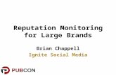 Reputation Monitoring for Large Brands
