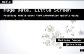 Huge Data, Little Screen: Assisting Mobile Users Finding Information Quickly Using Site Search.