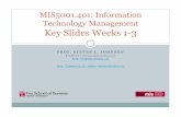 MIS5001 key slides from weeks 1 to 3