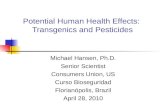 Efectos potenciales a la salud por transgenicos y pesticidas