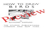 How to Draw Birds