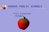 Fy 11 Budget Hearing Version 2007