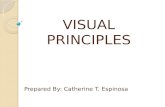 Visual principles