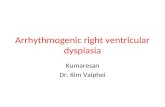 Arrhythmogenic right ventricular 2003