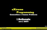 eXtreme Programming(Sepai2004) -  Manoel Pimentel