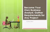 Become Your Own Business Analyst, Gather Requirements for Any Project