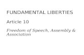 13 fundamental liberties 10 11 (9)