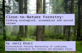 Close to Nature, Permanent Commercial Forestry by Dr Jurij Diaci