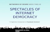 Spectacles of internet democracy