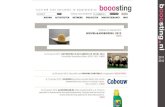 Booosting Web 2011-2012  - Jasper Moelker (31 jan 2012)