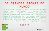 Ifes aula 9-os-biomas_do_mundo