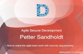 Agile Secure Development