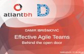 Effective Agile Teams - Behind the open door
