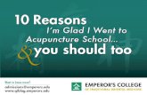 10 Reasons I Went to Acupuncture School...and you should too!