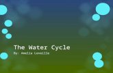 The water cycle pp