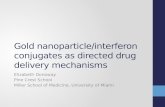 Gold Nanoparticle/Interferon Conjugates as Directed Drug Delivery Mechanisms