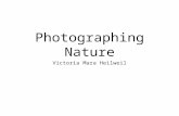 Photographing Nature Photography Tips