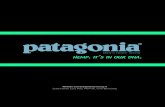 Patagonia Brief
