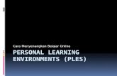 Personal Learning Environments (Pl Es)