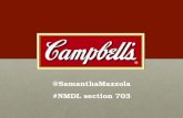 Campbell's Soup Company– ADV 420