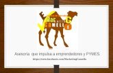 Marketing camello. (presentación).