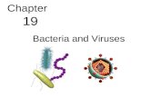 Biology - Chp 19 - Bacteria And Viruses - PowerPoint