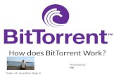 Bittorrent Protocol(Interactive)