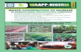 WAAPP Nigeria Bulletin August 2013 Edition